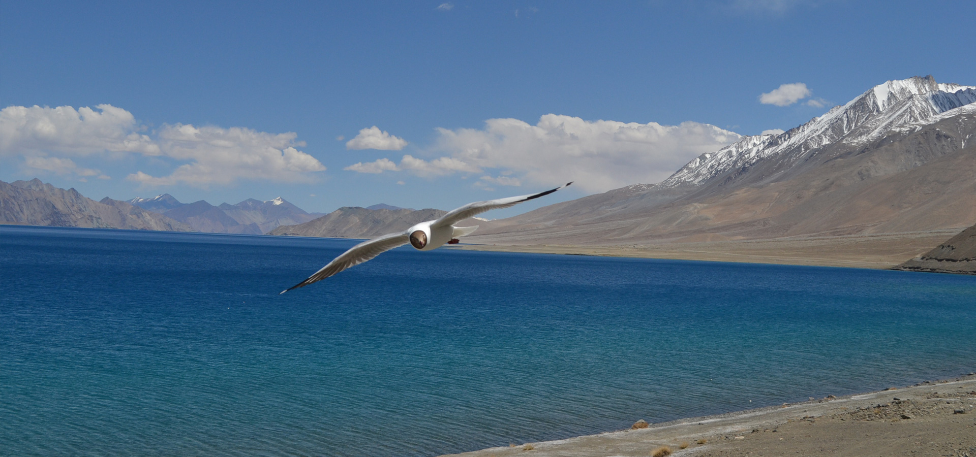 Ladakh Mountain Tour & Travels