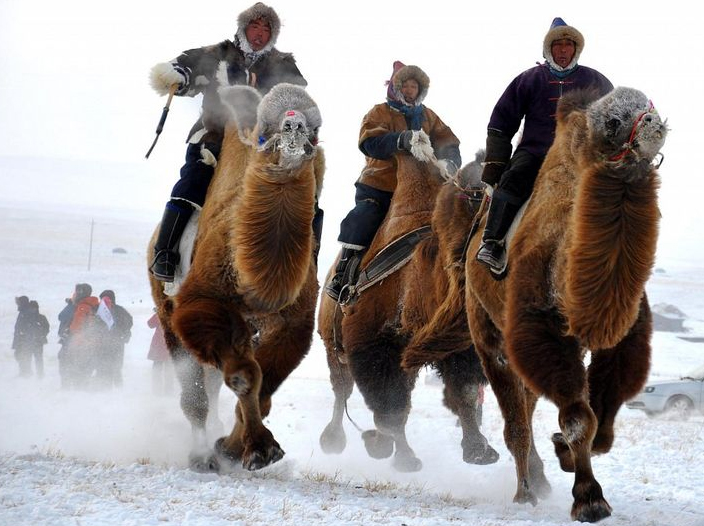 Hunder Village Visit And Double Humped Bactrian Camel Ride