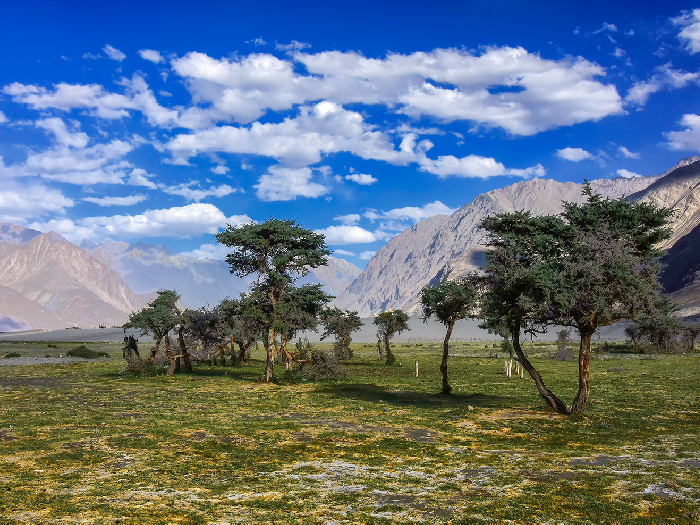 Ladakh Tour Package From Kota