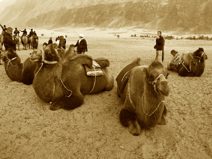 Leh Ladakh Package From Delhi