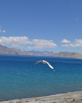 Ladakh Tour Packages From Ahmedabad